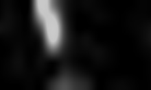 Who Can Handle This Huge Cock Oral Stimulation?