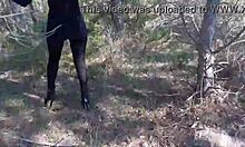 High heels click through forest paths in nature walk