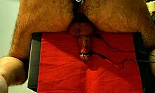 Chair cum in amateur anal masturbation session 😏