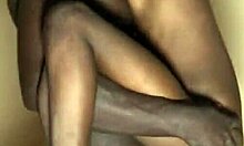 Cette chienne aime une bite vraiment épaisse dans sa grosse chatte