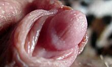 Huge Clit Orgasm Closeup!