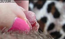 Huge Clit Orgasm Closeup!