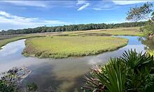 hot skinny blonde, jerk off that dick in the woods! bikers are watching?