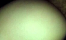 Does tiny teen Selena crave this big cock?