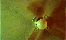 Watch This Side Chick Compilation! Horny Teens Getting Wet And Riding!