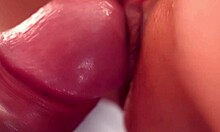 Doggy style shot with a macro lens