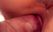 Doggy style shot with a macro lens