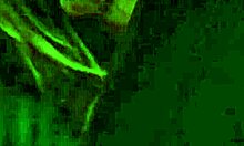 The fisherman returns in season four