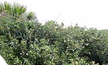 Clitlicker662's Update 40: Naked Outdoor Masturbation And Flashing