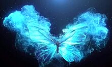 vacation quickie swaps partners for wild interracial fuckfest