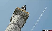 veronica leal's shaved asshole stretched in anal massage