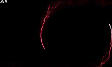 Allison Bloom's Shower Anal Stretch