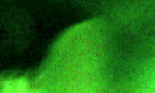 Kajune begs Caleb let her suck your cock now