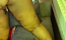 Petal's Smooth Shaved Tease Awaits Your Gaze