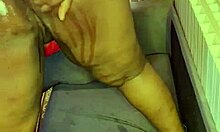 Petal's Smooth Shaved Tease Awaits Your Gaze