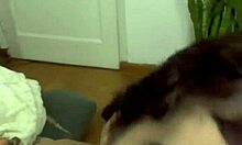 cute tattooed latina girl next door solos huge dildo deep in fat ass pov masturbation