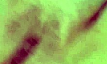 she spreads her huge natural tits and feet while teasing her swollen clit and big pussy lips