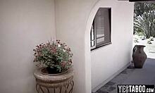 Hey big tits bbw milf, wanna trib and facesit your curvy lesbian teen neighbor?