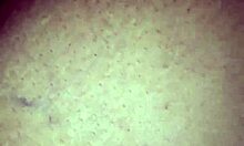 Met Curvy Latina School Teacher and Took Her for Doggystyle Fun