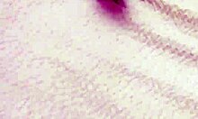 Skinny Ebony Neighbor Rides Interracial Monster Cock!