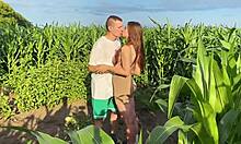 Roughly fucking hot cute multiorgasmic babe in public cornfield