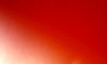 Amateur Doggystyle Creampie Slam