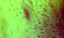 Homemade bbw milf sandra sucks cock deepthroats then fucks to double orgasm cumshot