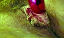 chubby amateur moans loud fingering clit with vibrator dildo solo first time