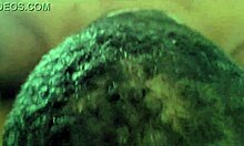 professora squirting anal fuck with student hidden from school