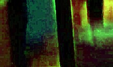 wanna see how i convinced this cute latina college coed to fuck me raw?