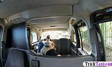 Horny Couple Backseat Fuck Filmed Public