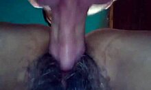 young stud rams fat mature latina cougar bent over doggystyle