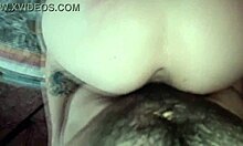 Why fuck stepsis doggy so hard in Argentina?