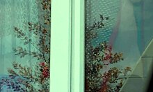 voyeur taxi driver spies mature blonde milf naked in stockings washing windows panty-free