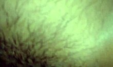 pretty student shaved pussy rubbed then creampied hard