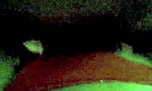 COUPLE'S WET PUSSY FUCKING CLOSE-UP CUM INSIDE