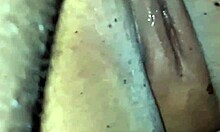 Puta Offers Fat Ass and Pussy to Multiple at Wild Party