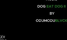 nigerian ebony babes with big asses and curves fuck rough doggystyle riding big black cocks screaming wet