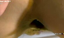 shana grimoire dives into anal rimming piss and intense sex first time