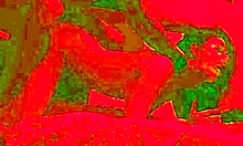 Birthday dinner ends in passionate kitchen heat