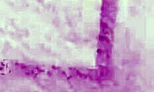 Wow Erin Ohara big ass redhead posing naked hairy pussy! 🍑🔥