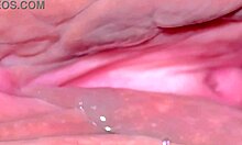 Amateur Japanese Wife's Shaved Pink Pussy 343 Days Post-Virginity Close-Up Dildo Ride