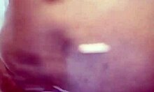 Nigarchrist's petal update from may 29!