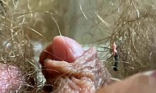 extreme closeup hairy giantess big clit vagina asshole