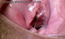 extreme closeup hairy giantess big clit vagina asshole