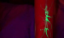 why resist the world's sexiest latinas in black lingerie teasing with oiled assplay?