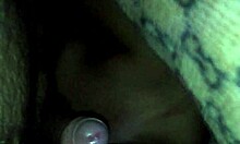 A lover savors sucking it with eager delight and rhythm