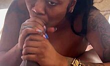 grab my pigtails while i suck this bbc sloppy wet