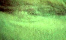 Holy Shit! These Massive Sexy Amateur Tits Bounce Like Crazy Non-Stop!