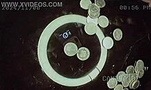 kenyan pastor fucks my big curvy ass in church offerings